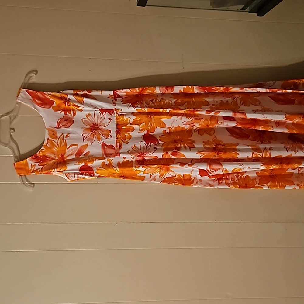 Chadwicks Floral Summer Dress, Size 2P.